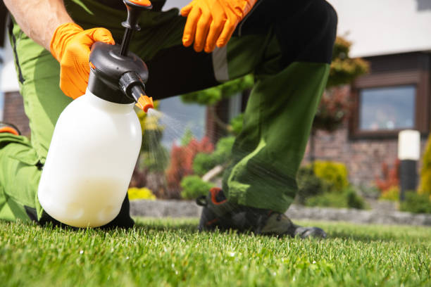 Best Residential Pest Control  in Jefferson, OR