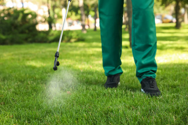 Best Rat Extermination Near Me  in Jefferson, OR