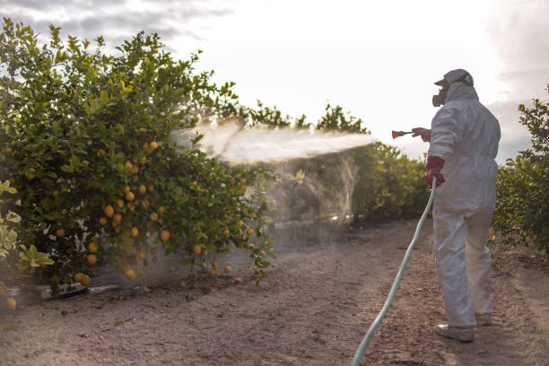 Best Pest Control for Businesses  in Jefferson, OR