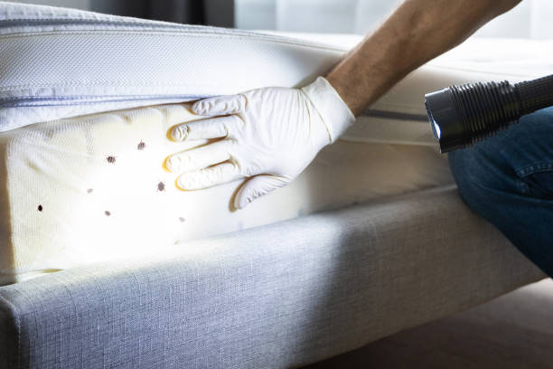 Best Pest Control Near Me  in Jefferson, OR