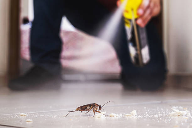 Best Pest Prevention Services  in Jefferson, OR